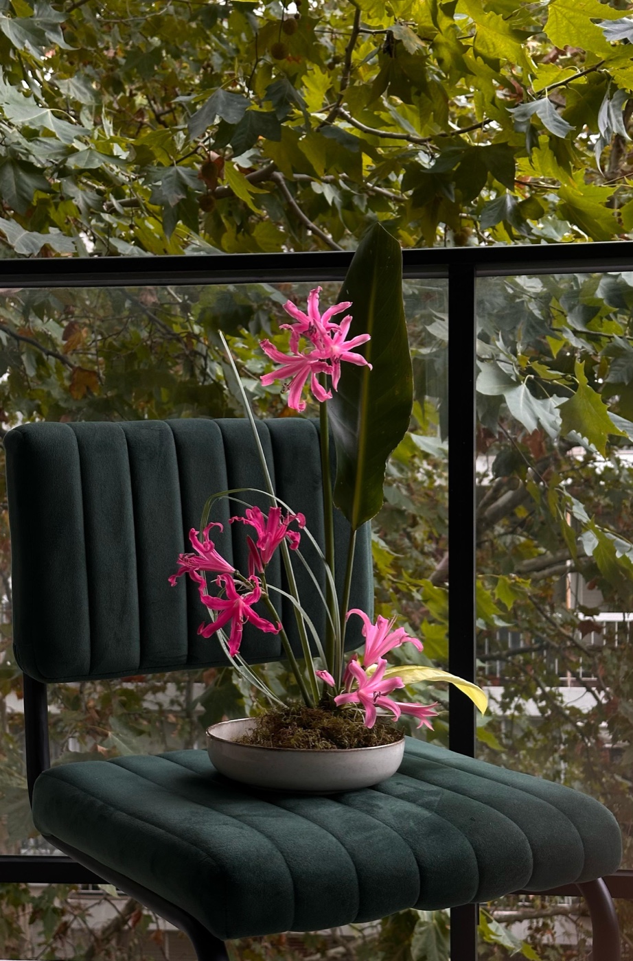 Flores para espacios — arreglo de nerinas sobre silla verde